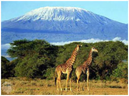 Mount Kilimanjaro