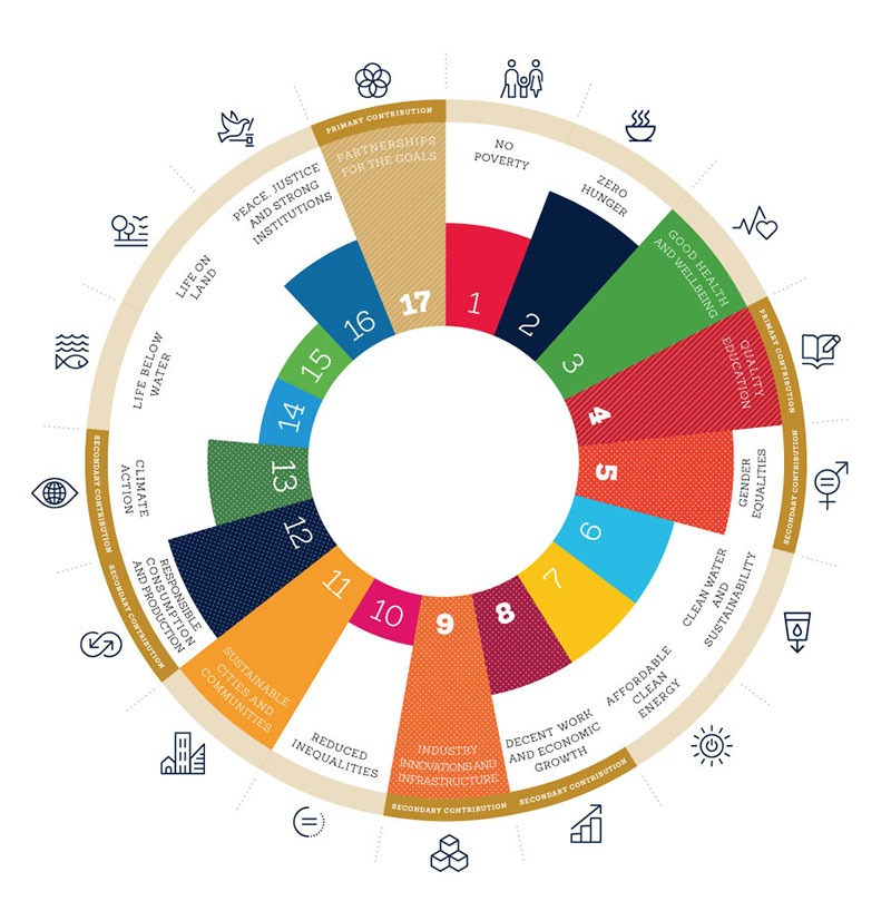 UN sustainability goals graphic